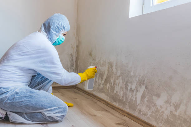 Hvac And Air Duct Mold Remediation inspection of HVAC system in Dolphin